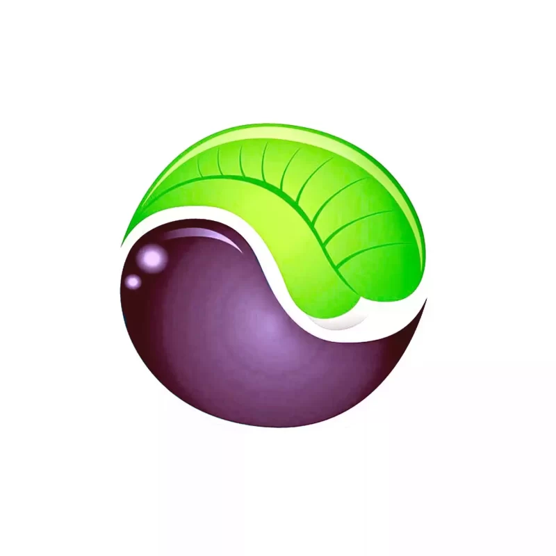 BAGUA® QUANTICO PACOTE DE ATENDIMENTO COMPLEMENTAR A DISTANCIA