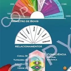 ferramentas terapeuticas