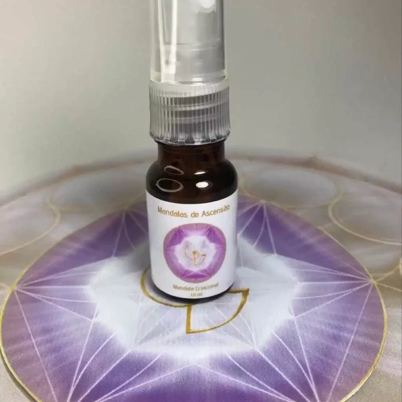 SPRAY MANDALA 10 CRIACIONAL